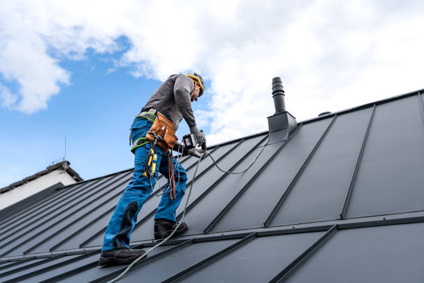 Best Sheet Metal Roofing  in Collingdale, PA